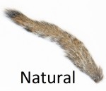Grey Squirrel tail
